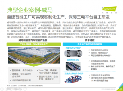 2025年新能源市場展望 威馬等企業(yè)潛力無限，技術(shù)咨詢服務(wù)助力行業(yè)騰飛